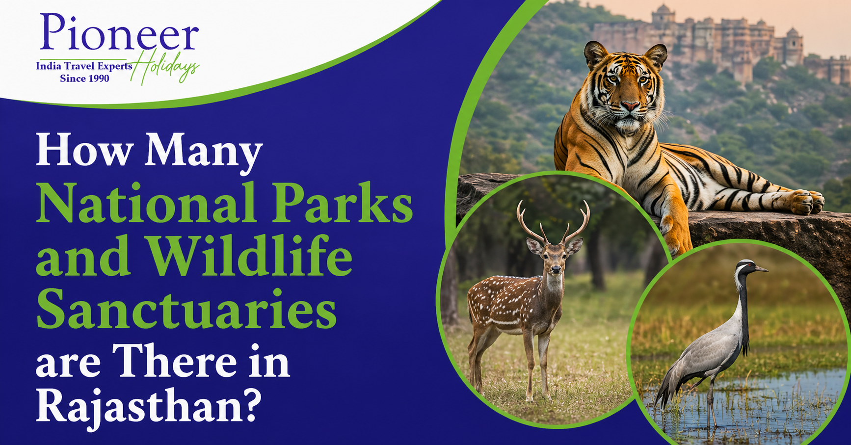 How Many National Parks and Wildlife Sanctuaries are There in Rajasthan?