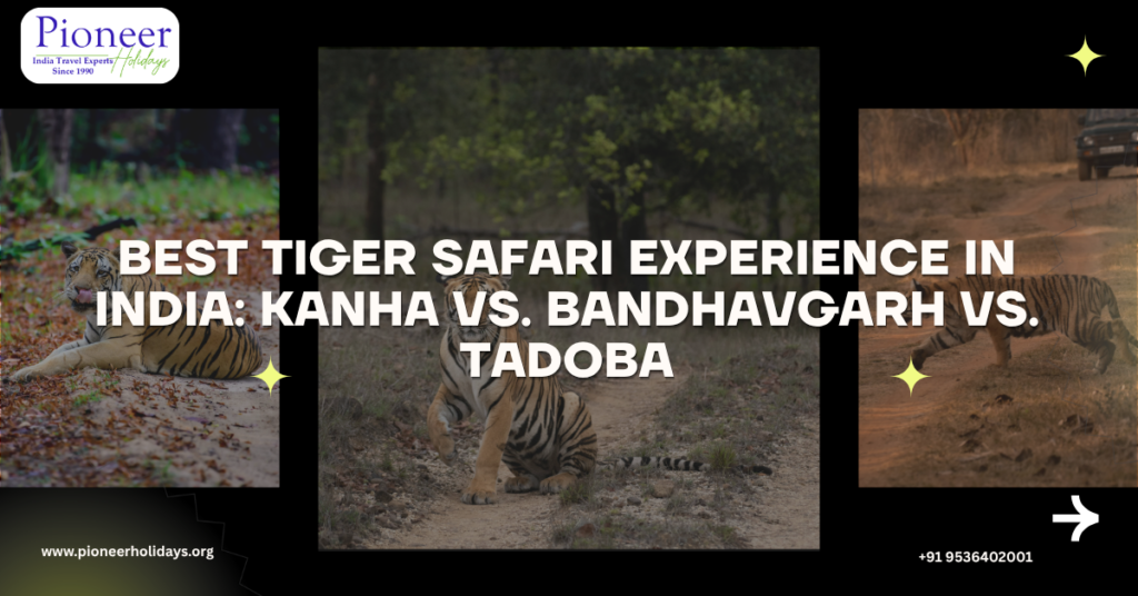 Best Tiger Safari Experience in India