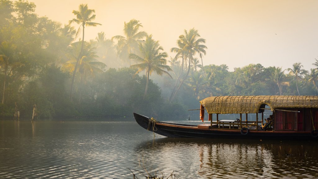 Kerala backwaters with a traditional houseboat surrounded by palm trees