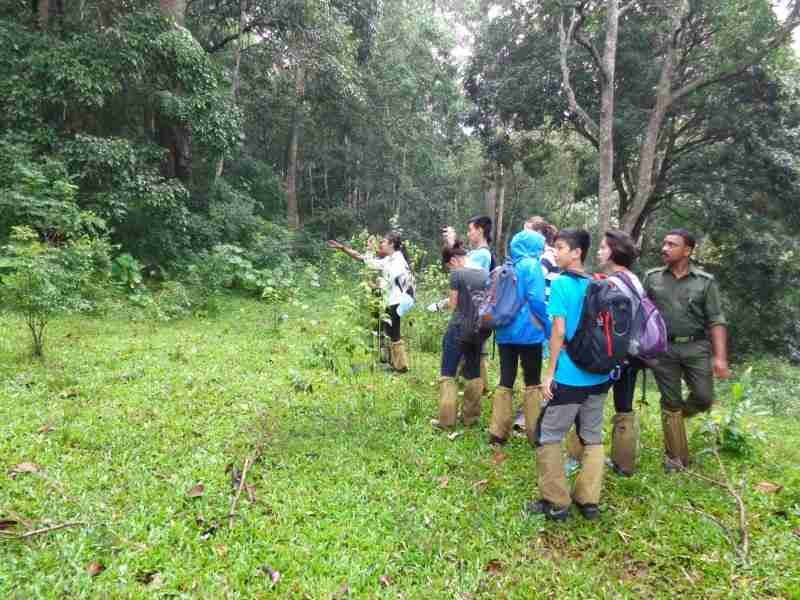 Tourists exploring a South India wildlife reserve